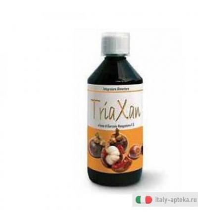 Triaxan Integrat 500ml
