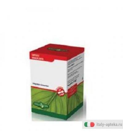 Tribulus Terrestris 60 capsule