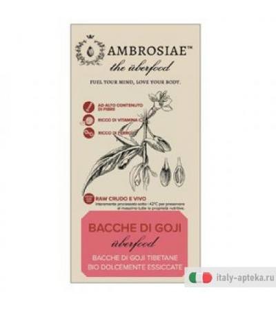 Uberfood Goji Bio 100g
