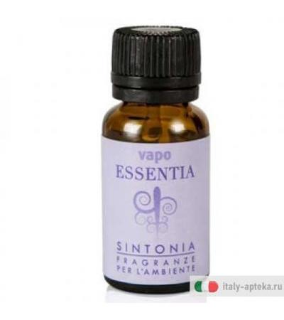 Vapo Essentia Sintonia 10ml