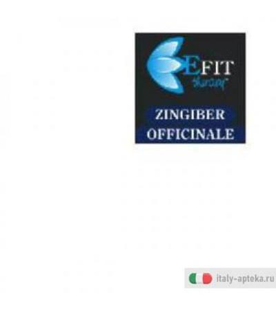 Zingiber Officinal Est Fl 30ml