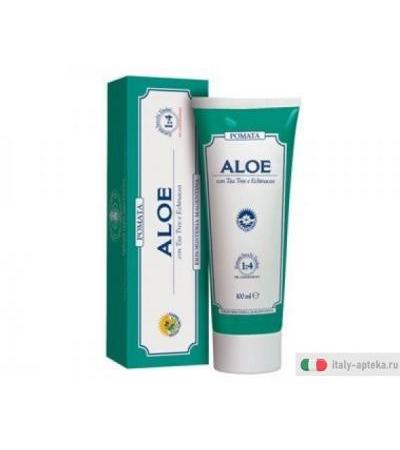 Aloe Pomata con Tea Tree ed Echinacea Rimedio cutaneo universale tubo da 100 ml