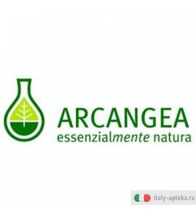 Arcangea Ribes Nigrum gm circulatum 100ml