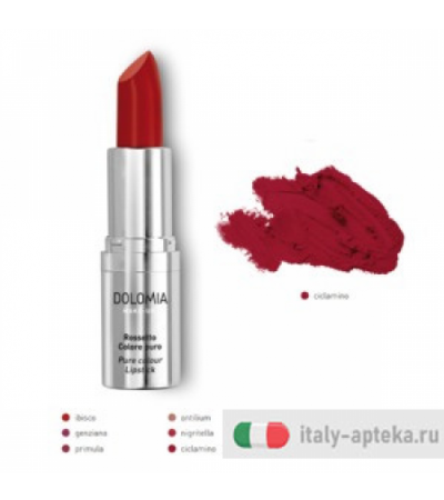 Dolomia Rossetto 06 Ciclamino
