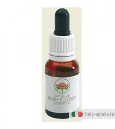 Green Remedies Dog Rose of the Wild Forces Integratore alimentare 15ml