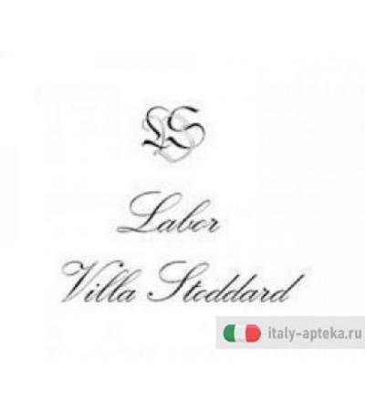 LVS 07N Solidago Virgaure Compositum