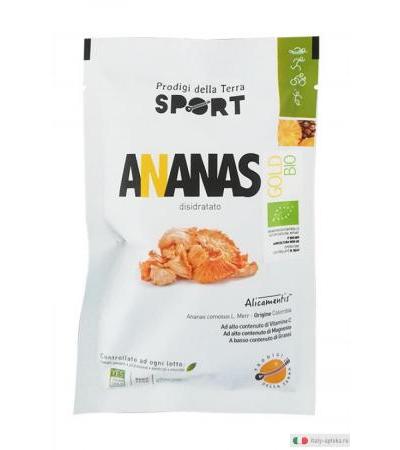 Prodigi della Terra Sport Ananas Gold disidratato bio 28g