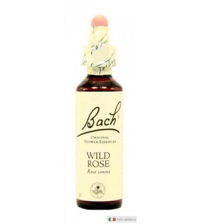 Schwabe Pharma Fiori di Bach n.37 Wild Rose 10ml Medicinale Omeopatico