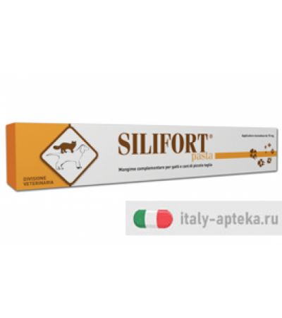 Silifort pasta 30g